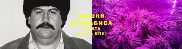 хмурый Балабаново