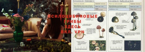прущий лед Баксан