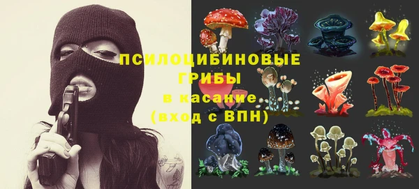 соль ск Балахна