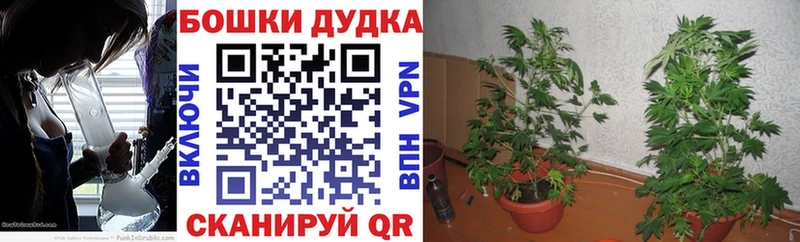 ссылка на мегу сайт  Сердобск  Канабис THC 21%  цена наркотик 